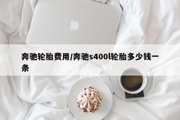 奔驰轮胎费用/奔驰s400l轮胎多少钱一条