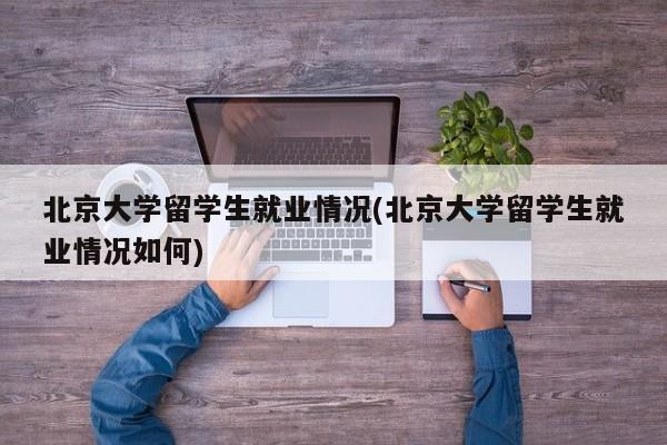 北京大学留学生就业情况(北京大学留学生就业情况如何)