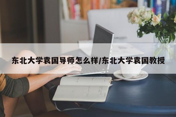 东北大学袁国导师怎么样/东北大学袁国教授