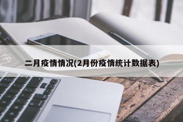 二月疫情情况(2月份疫情统计数据表)