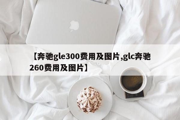 【奔驰gle300费用及图片,glc奔驰260费用及图片】