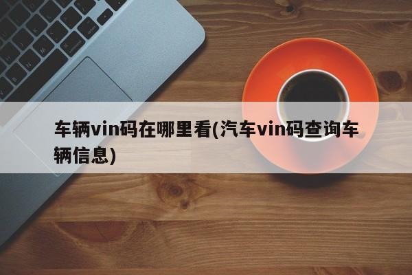 车辆vin码在哪里看(汽车vin码查询车辆信息)