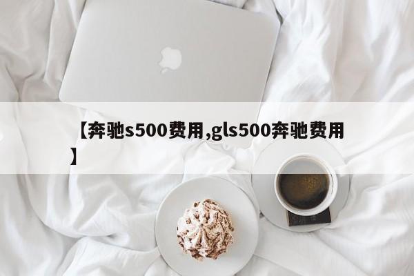 【奔驰s500费用,gls500奔驰费用】