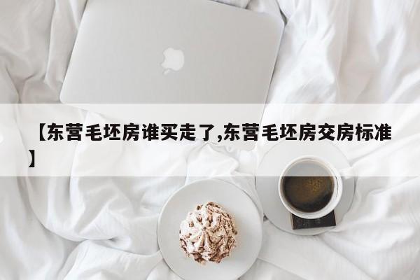 【东营毛坯房谁买走了,东营毛坯房交房标准】